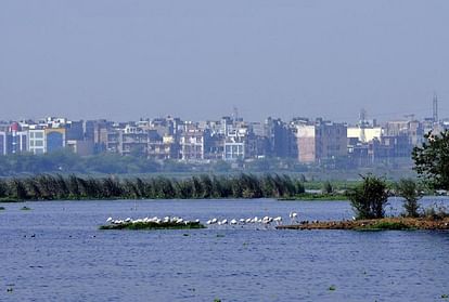 Mumbai and Delhi most expensive cities in the country for expatriates