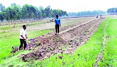 Village workers sit vacant and MNREGA work being done by calling from outside