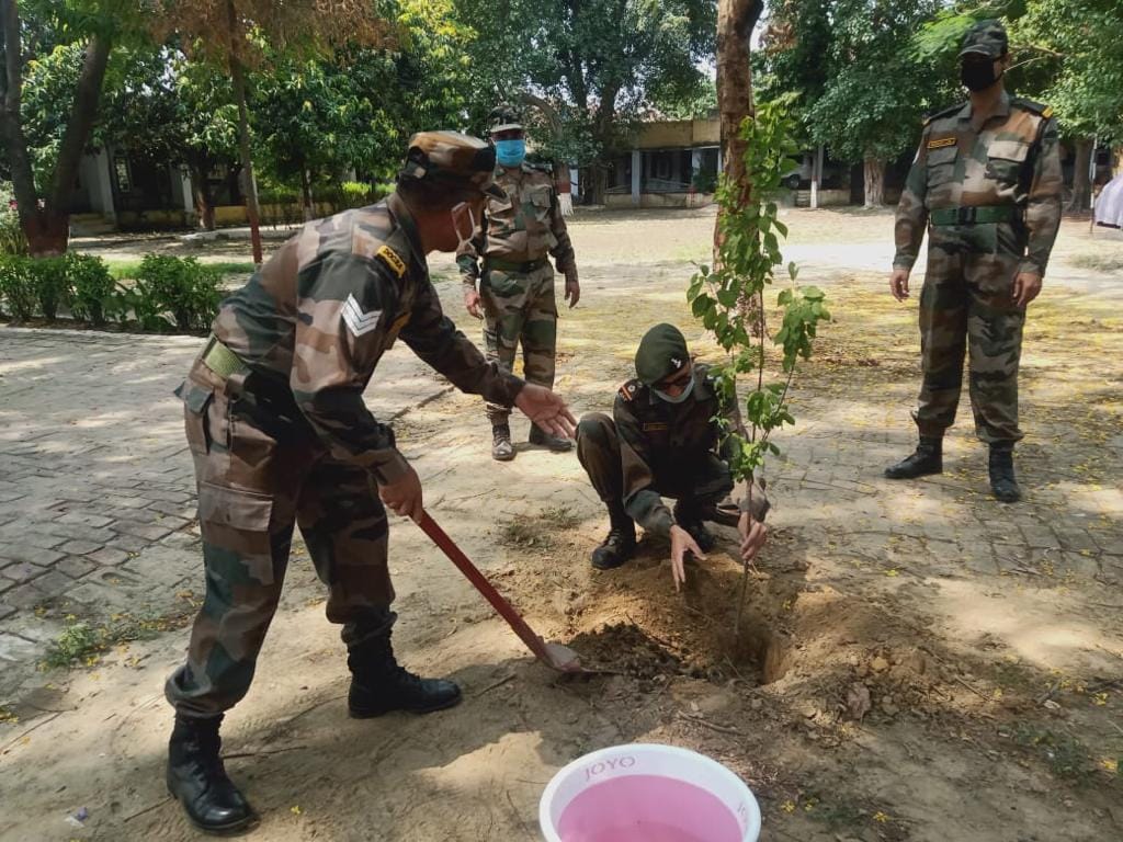 Plants planted for environmental protection