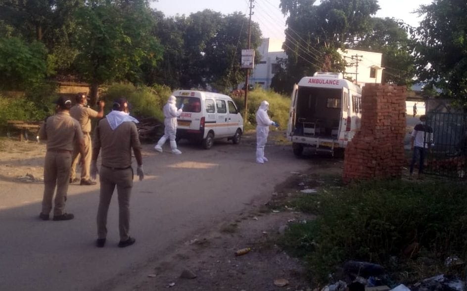 Mela hospitalized 8 out of 15 infected patients