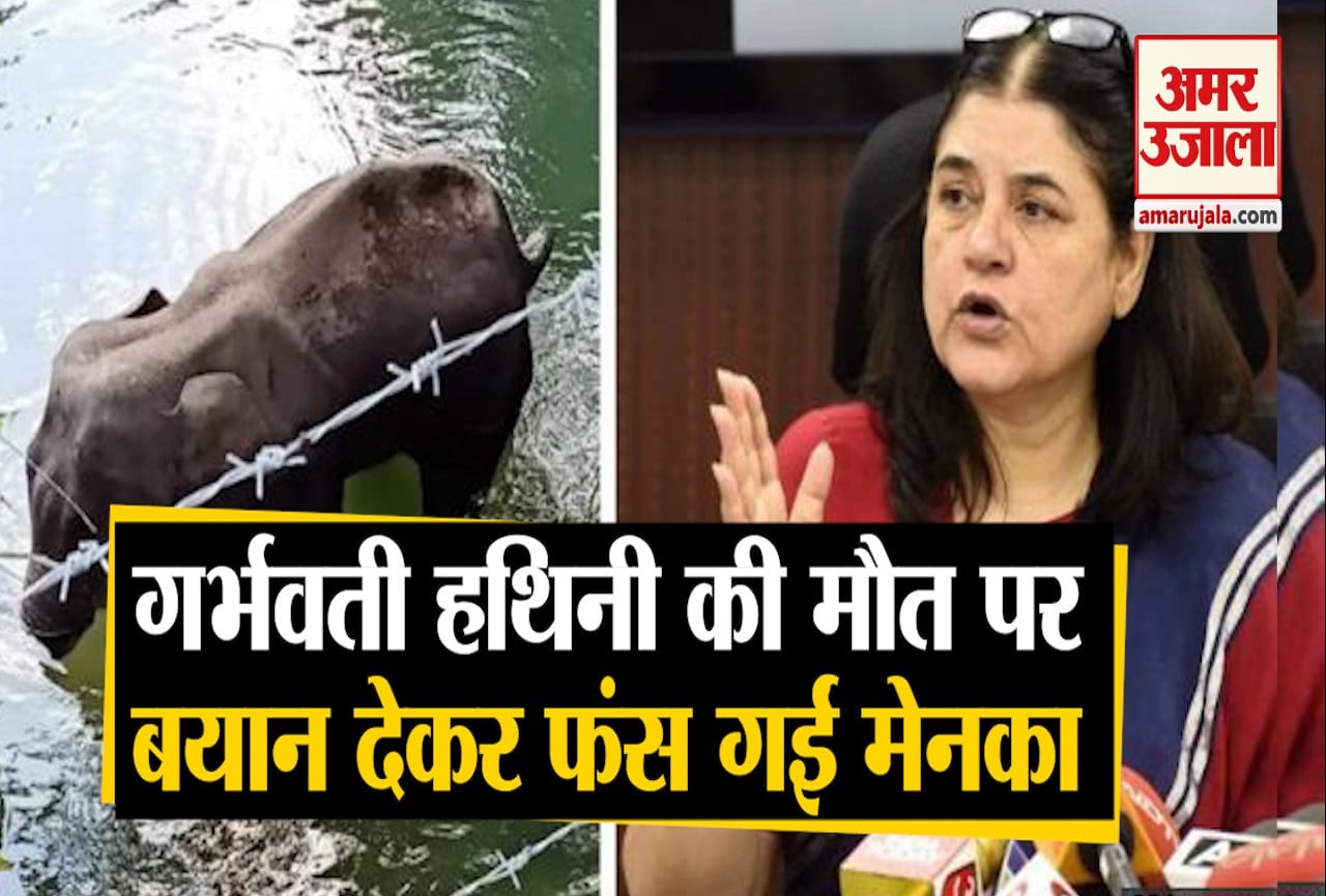 मेनका गांधी