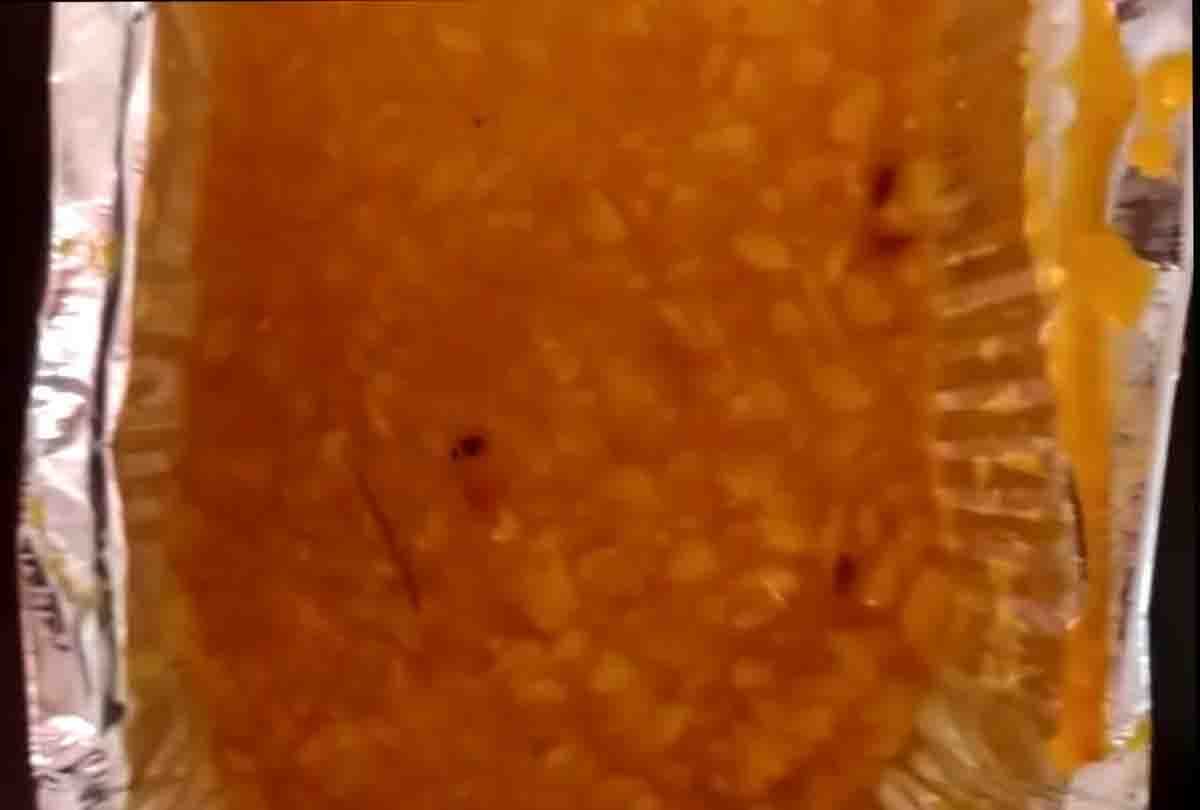 Coronavirus: maggot found in corona patients food