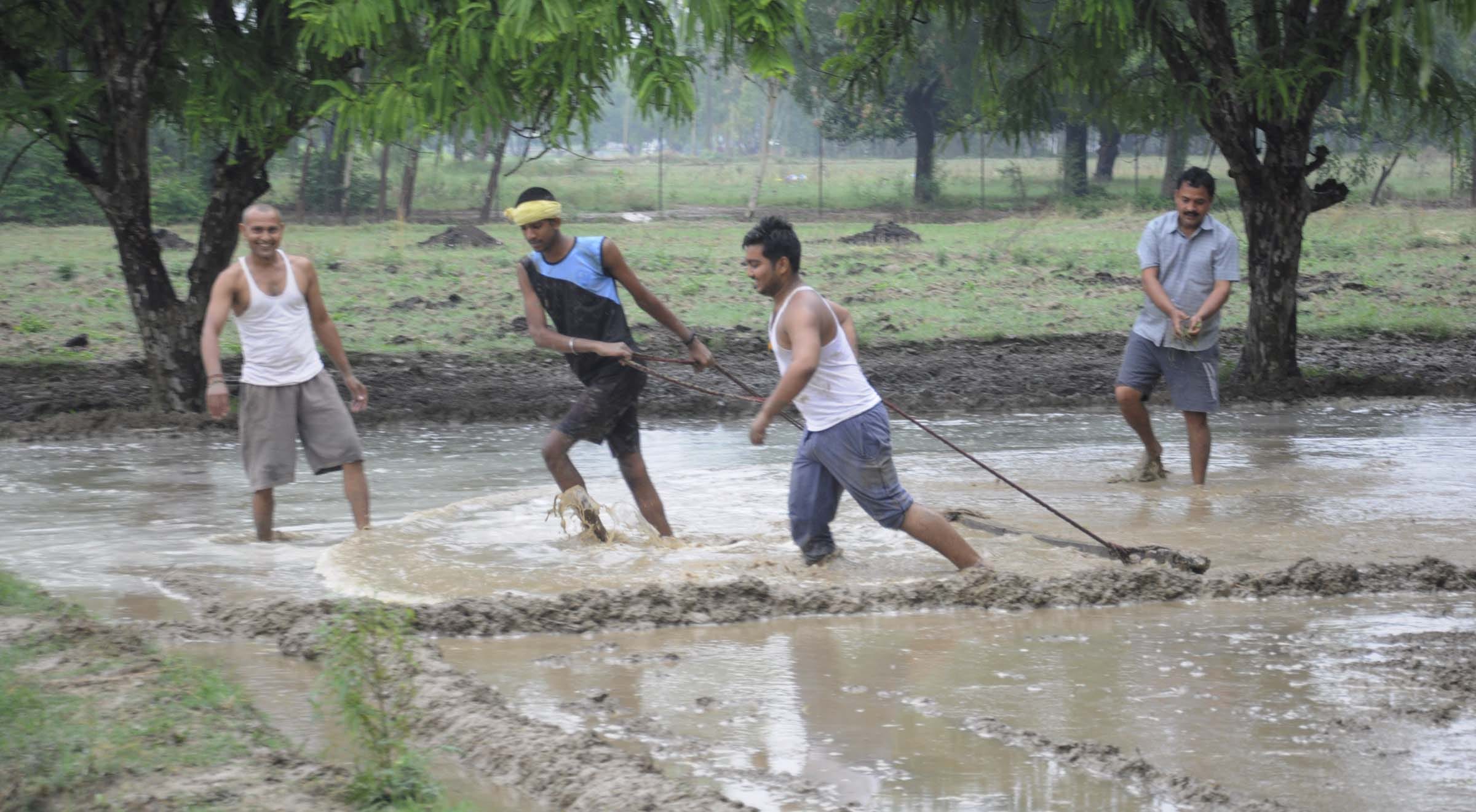 Gorakhpur Monsoon Paddy nursery affected due to below average rainfall in June