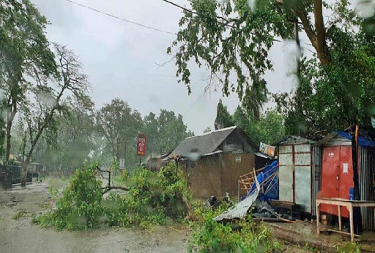west bengal cm mamata banerjee says  Over 28% of Sunderbans damaged due to Cyclone Amphan