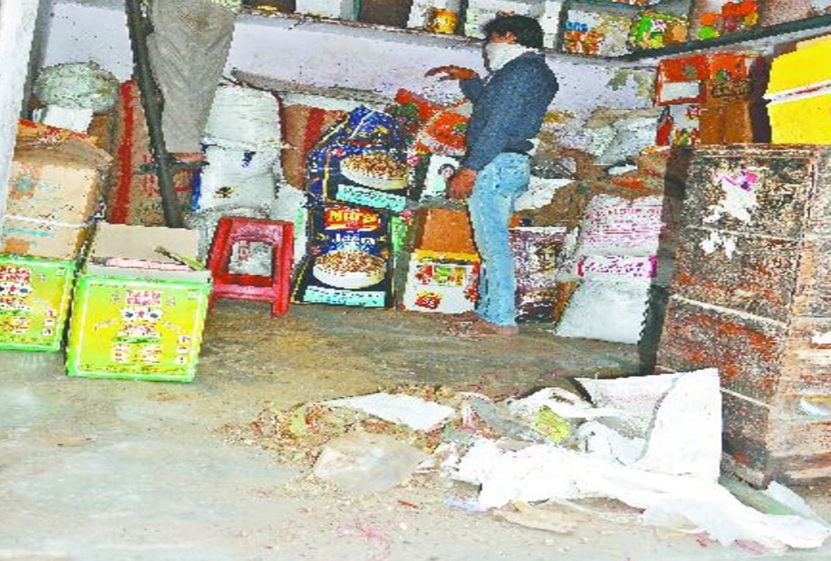 rats nibble goods of one crore in shops during lockdown