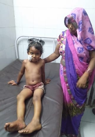 The tiger took away a five-year-old girl playing near the house