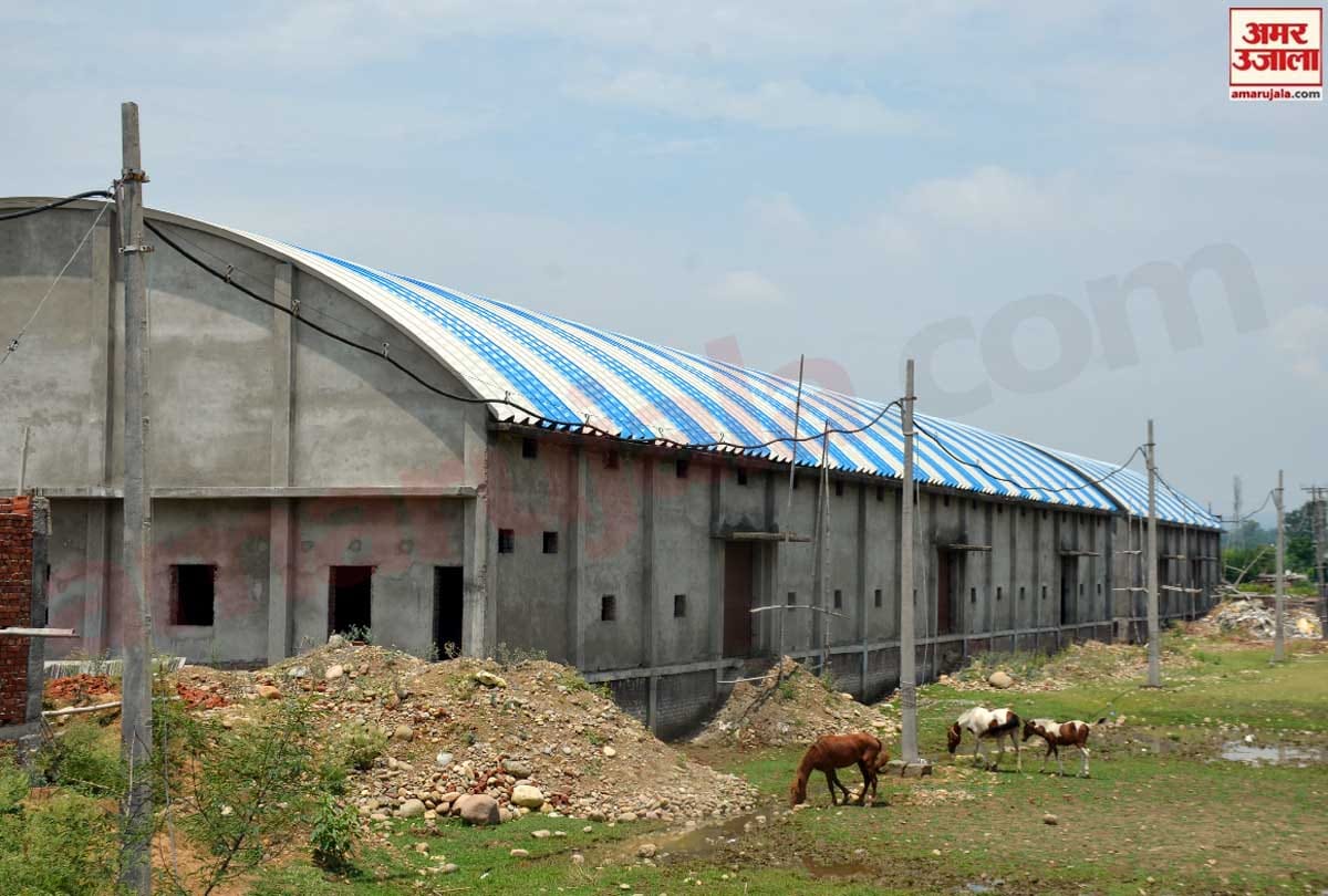 Preparations to start first seed processing unit of Jammu and Kashmir from July 15