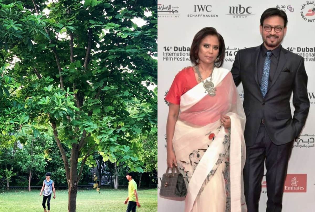 Sutapa Sikdar shared a tree photo which Irrfan had planted