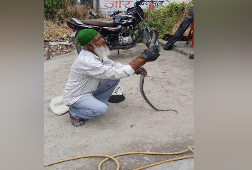 Father And Daughter Unique Hobby, Both Play with poisonous Snake and caught them in Uttarakhand