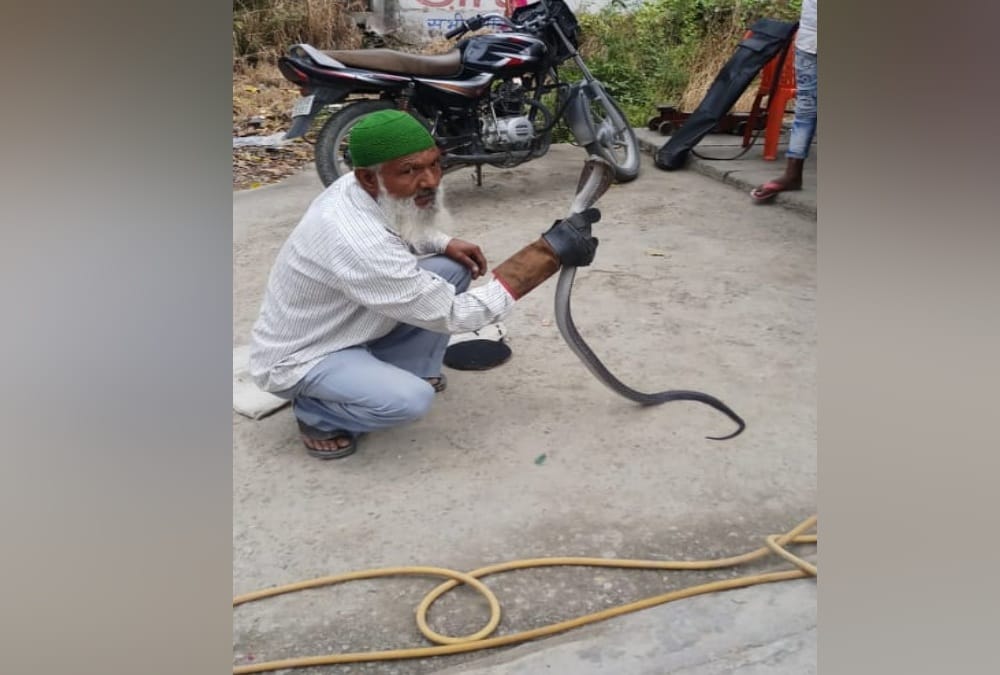 Father And Daughter Unique Hobby, Both Play with poisonous Snake and caught them in Uttarakhand