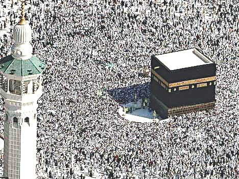 817 akidmant eyes watch over Saudi government's decision, will refund money again