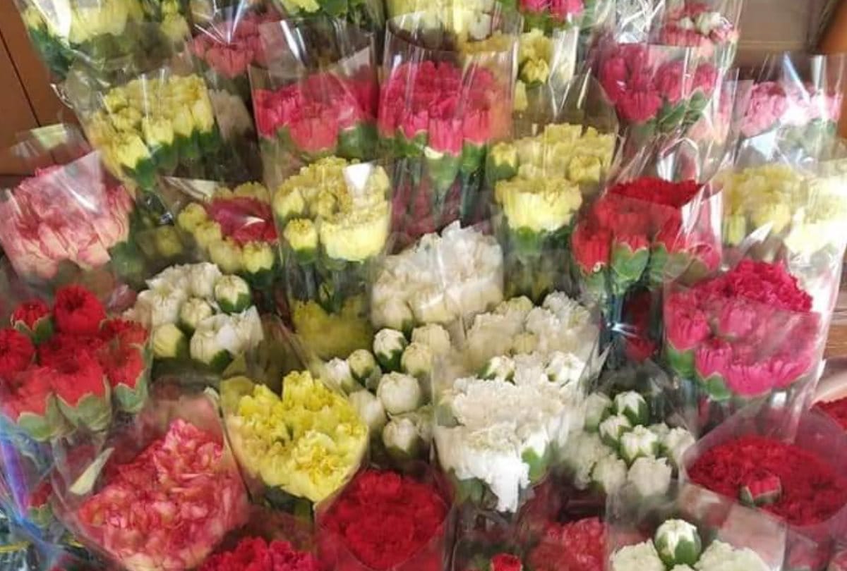 flowers prices decline by eighty percent in mandi himachal