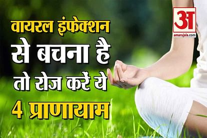 yog pranayam raise up immunity level of body bhastrika anulom-vilom kapalbhati bhramri