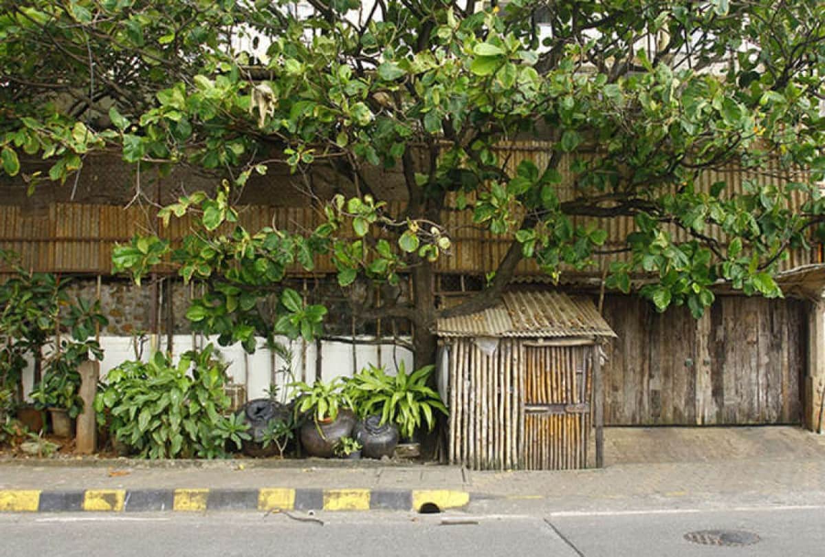 Rekha residence in Mumbai out of containment zone covid 19