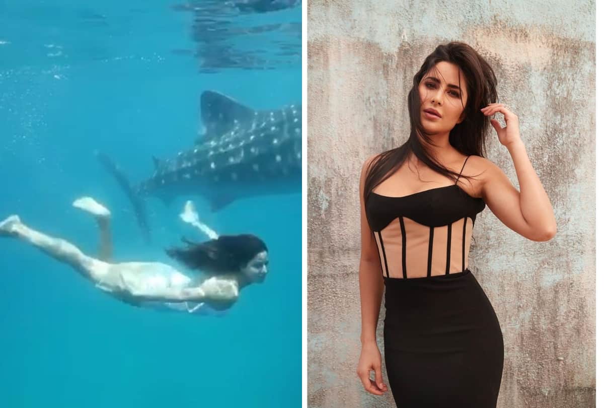 Katrina Kaif swimming in ocean with big fish video goes viral