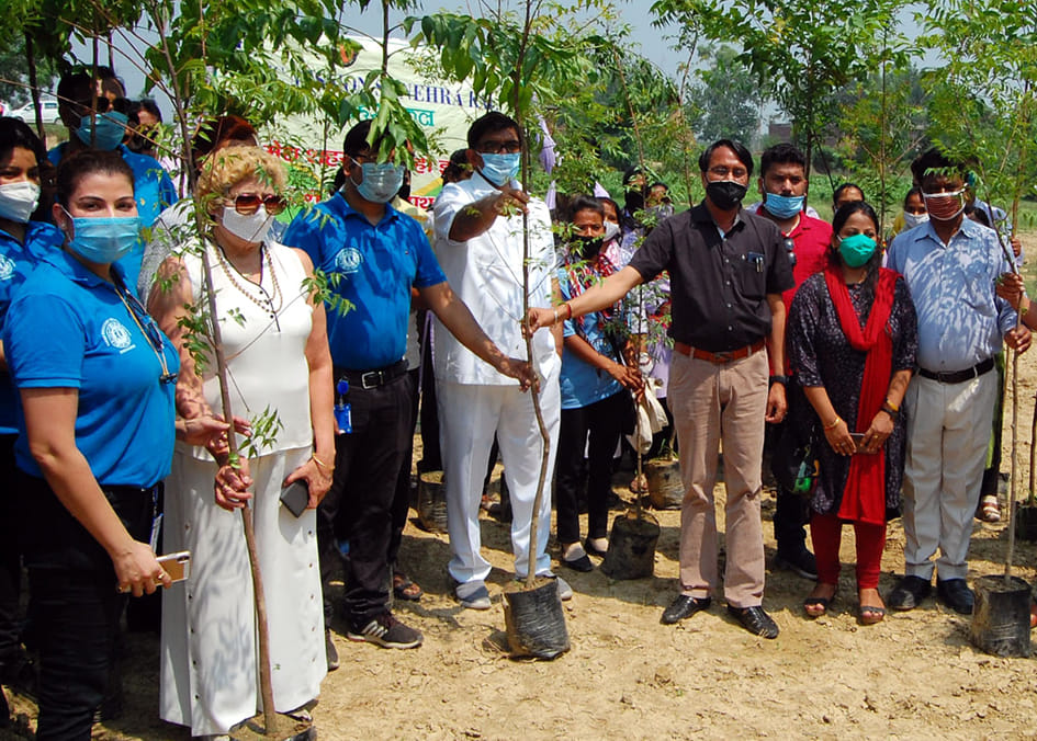 Planted on the banks of pond and Gaushala