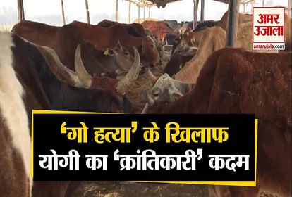 Uttar Pradesh cow slaughter prevention amendment ordinance 2020 approved yogi cabinet