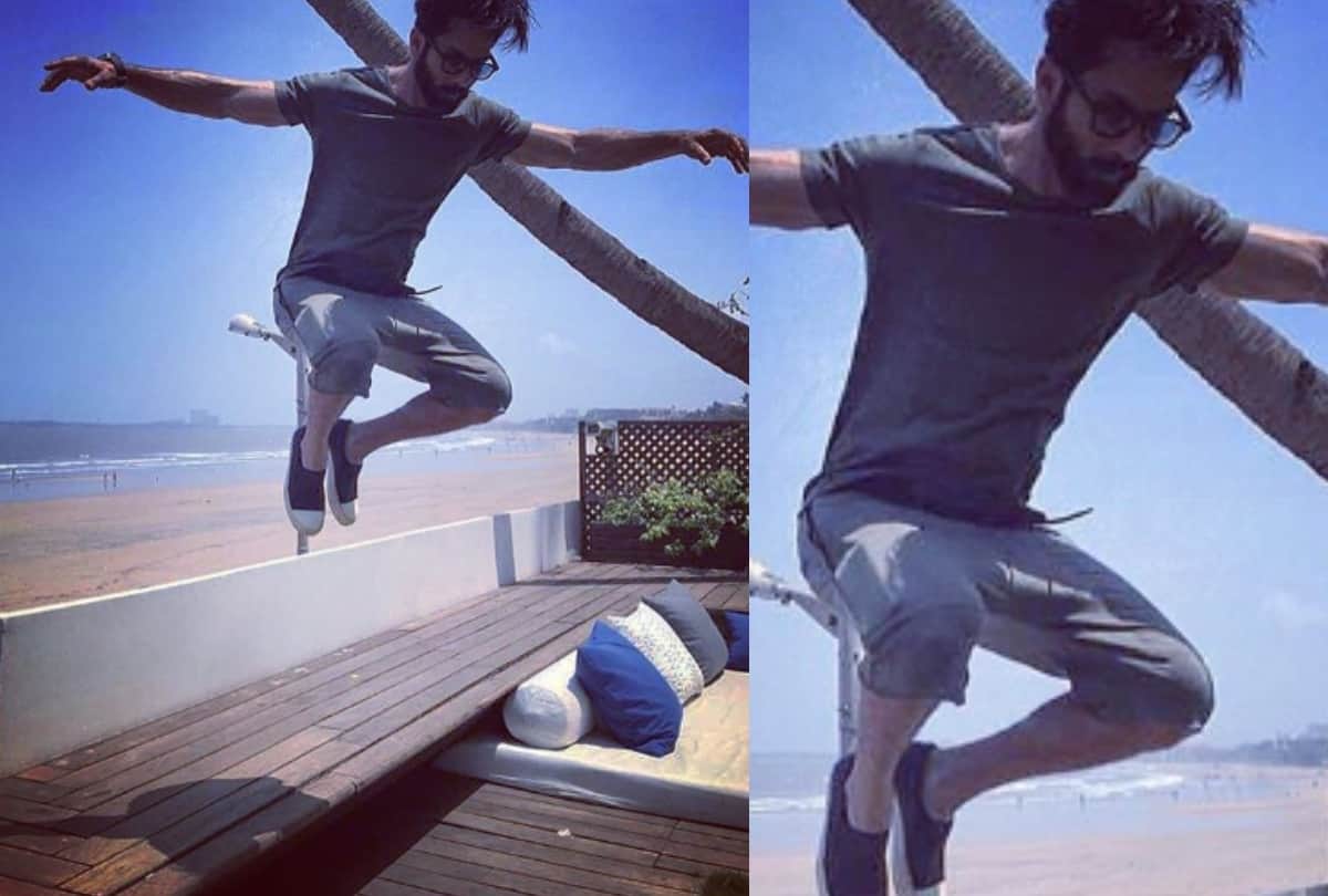 Shahid Kapoor shares his beard look with shades a selfie photo