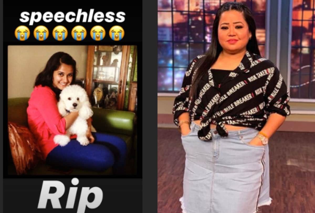 disha salian death bollywood celebrities condolences to family