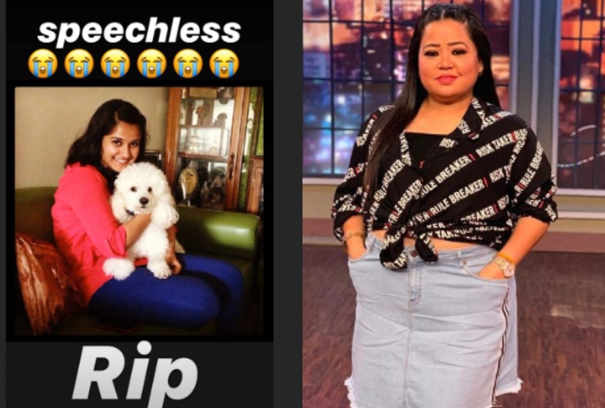 disha salian death bollywood celebrities condolences to family
