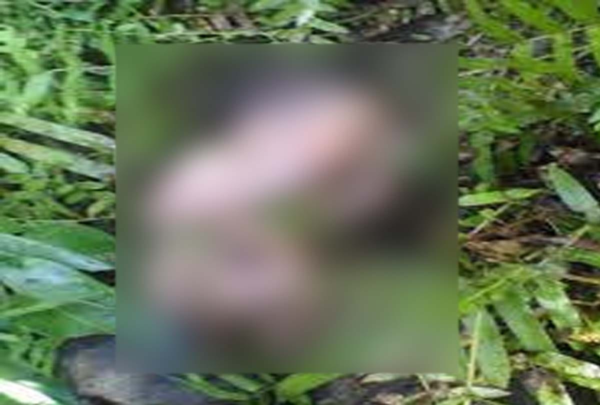Newborn thrown in bushes, death in chitrakoot