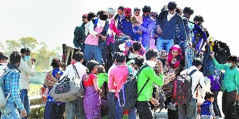 Search started by creating data bank of 8100 migrant workers