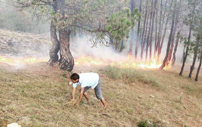 Forest fire near ADM residence