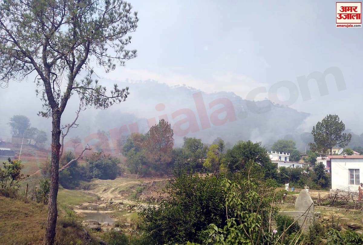 Pakistan violates ceasefire in Naugam Sector, three pak army jawan killed
