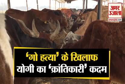 Uttar Pradesh cow slaughter prevention amendment ordinance 2020 approved yogi cabinet