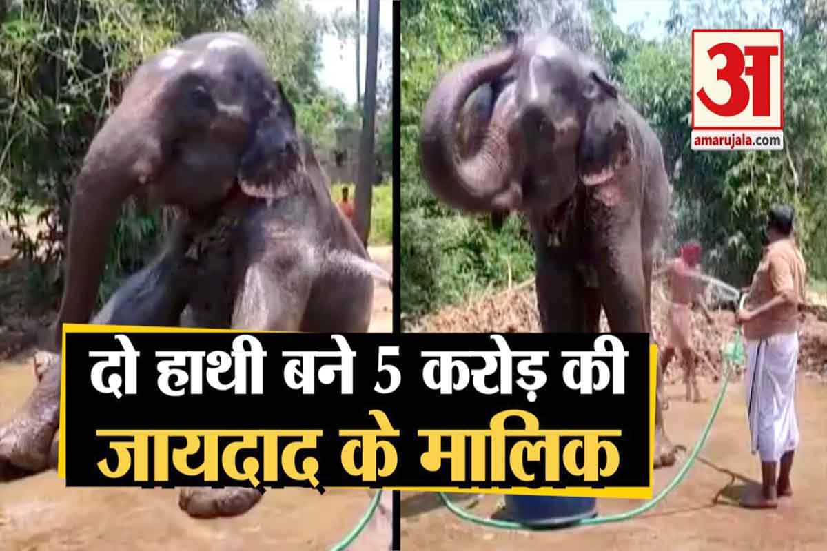 पटना में हाथी