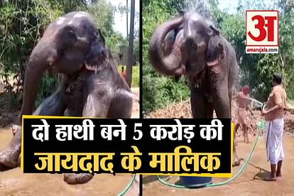 a man akhtar imam wills half of his property to 2 elephant in patna of bihar
