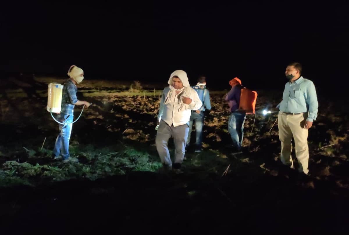 grasshopper attack in prayagraj: Locust team attacked in Koraon of Prayagraj