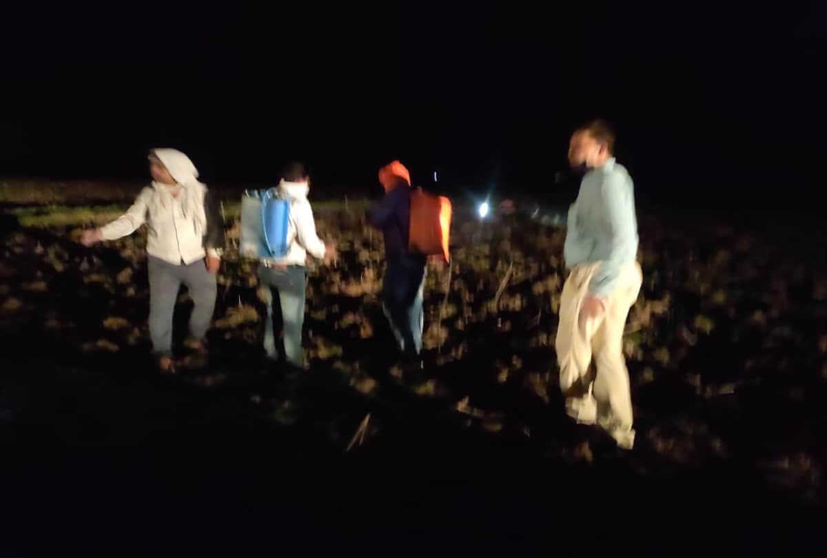 grasshopper attack in prayagraj: Locust team attacked in Koraon of Prayagraj