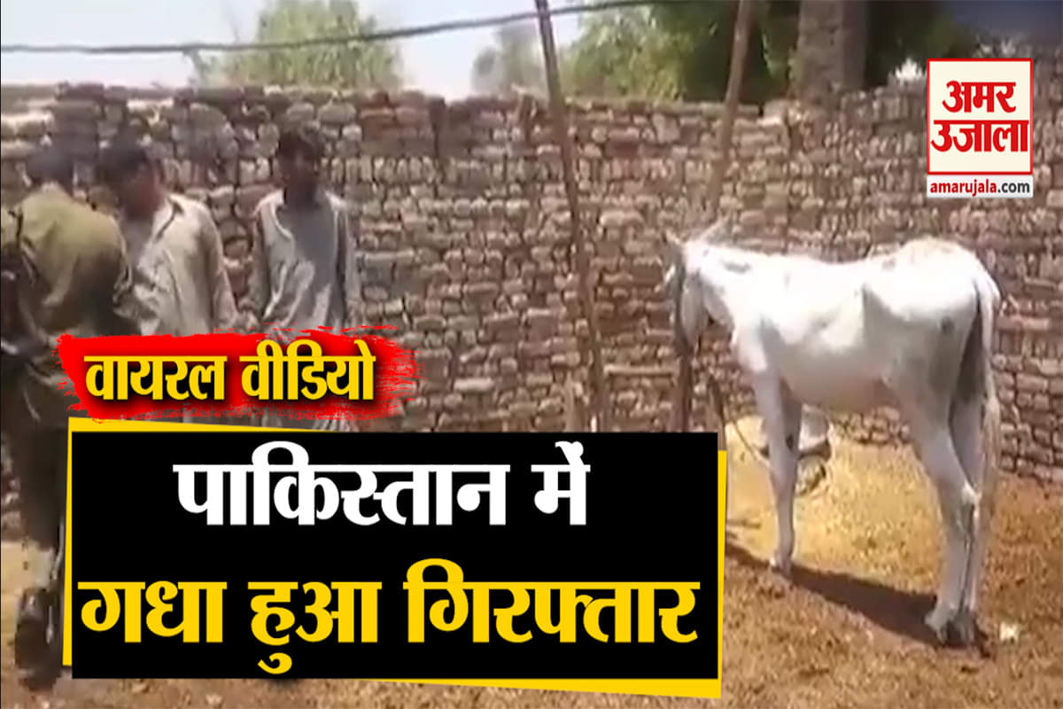 वायरल वीडियो