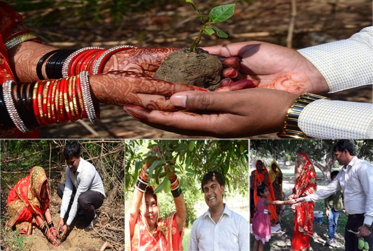 पौधरोपण कर दांपत्य जीवन की शुरुआत की