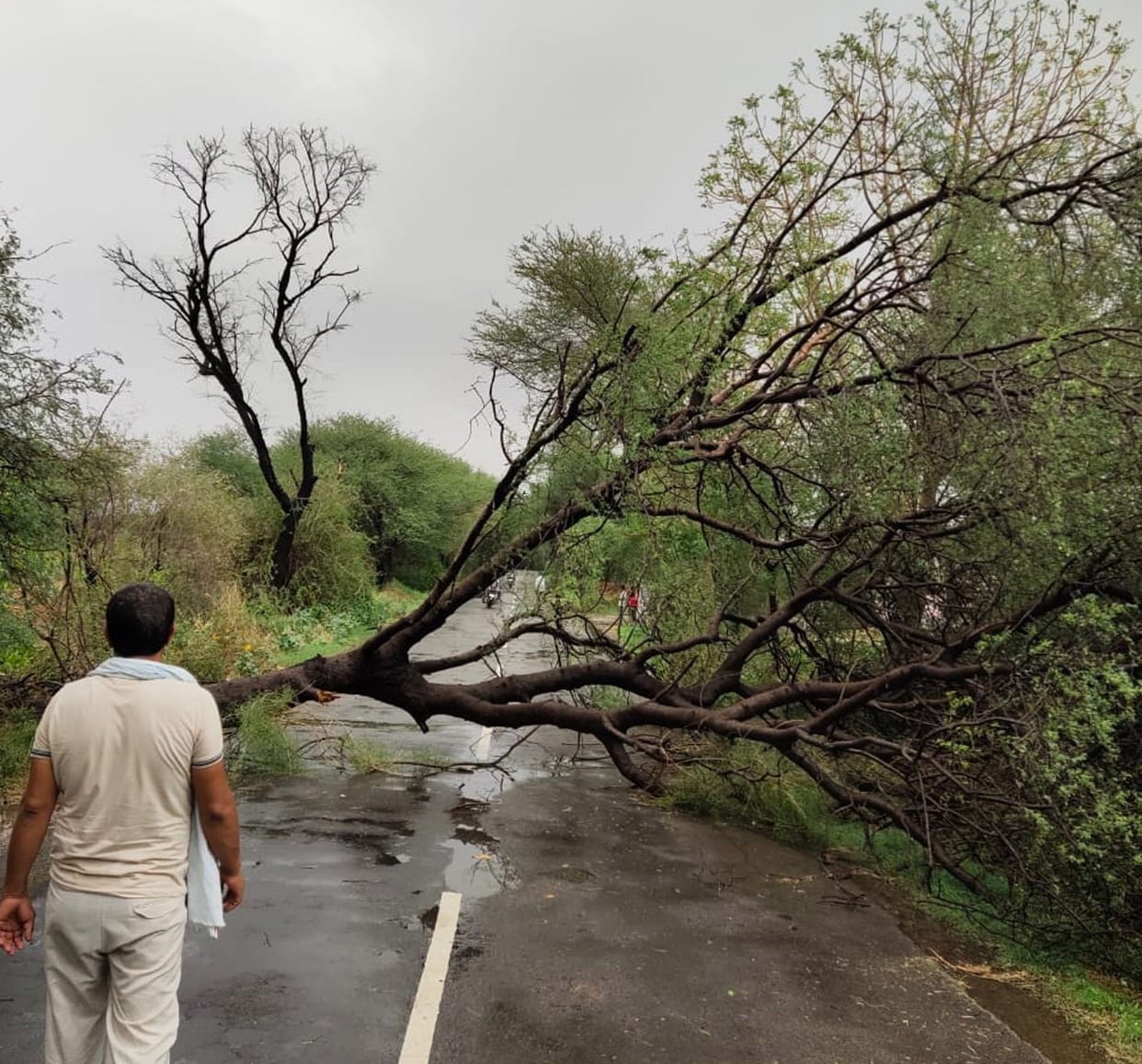 Rain in Bhiwani with a storm.