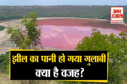 colour of Lonar Salt Water Lake change into pink in maharashtra