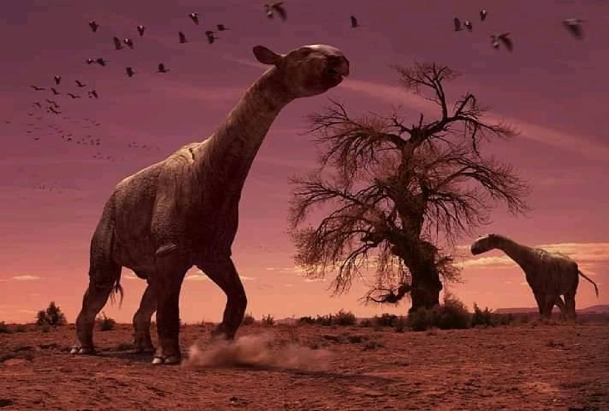 extinct animal Paraceratherium the largest terrestrial mammal ever