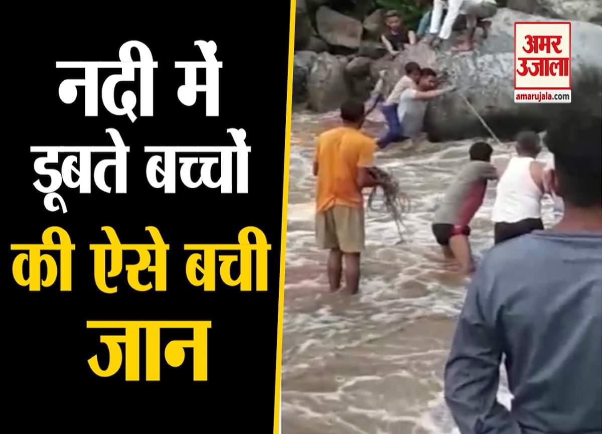 वायरल वीडियो