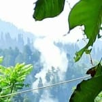 पाकिस्तानी सेना ने किया संघर्षविराम का उल्लंघन