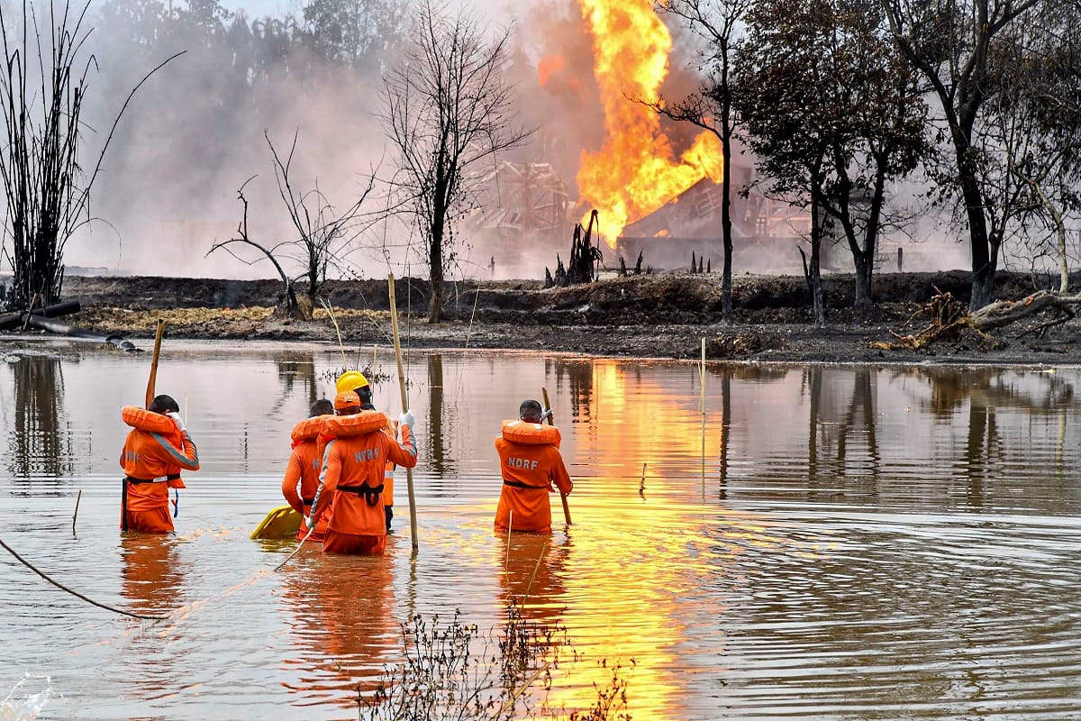 Assam gas well blaze endangered wetlands, several species, according to Wildlife Institute of India Survey