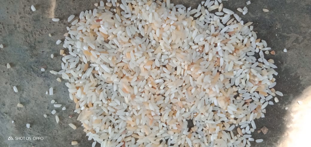 Rice