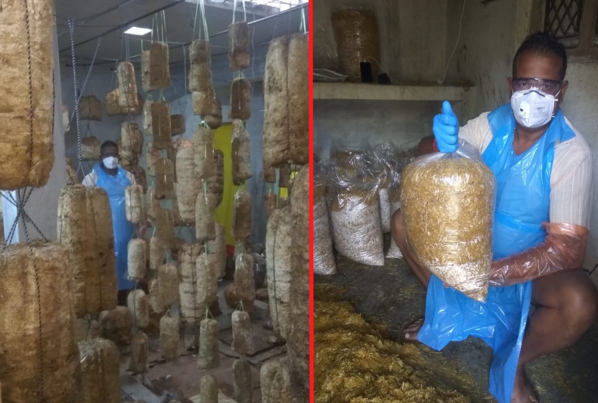 story of farmer making the district a hub of mushrooms at deoria