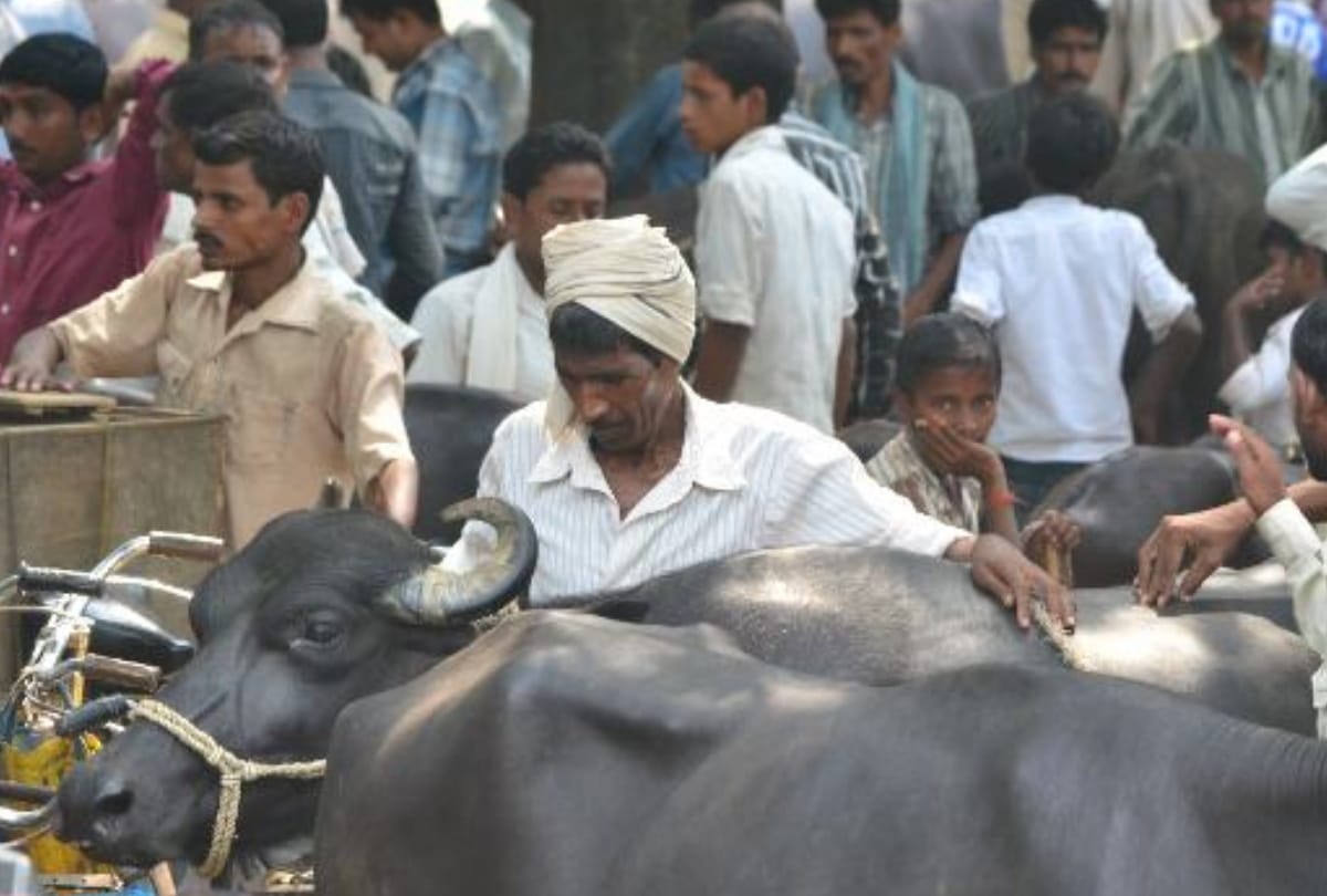 Special story of animal market triple murder in jaitpur Gorakhpur