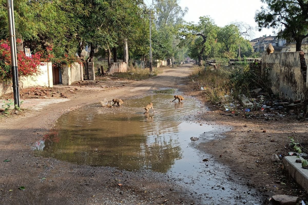 andhi- barish