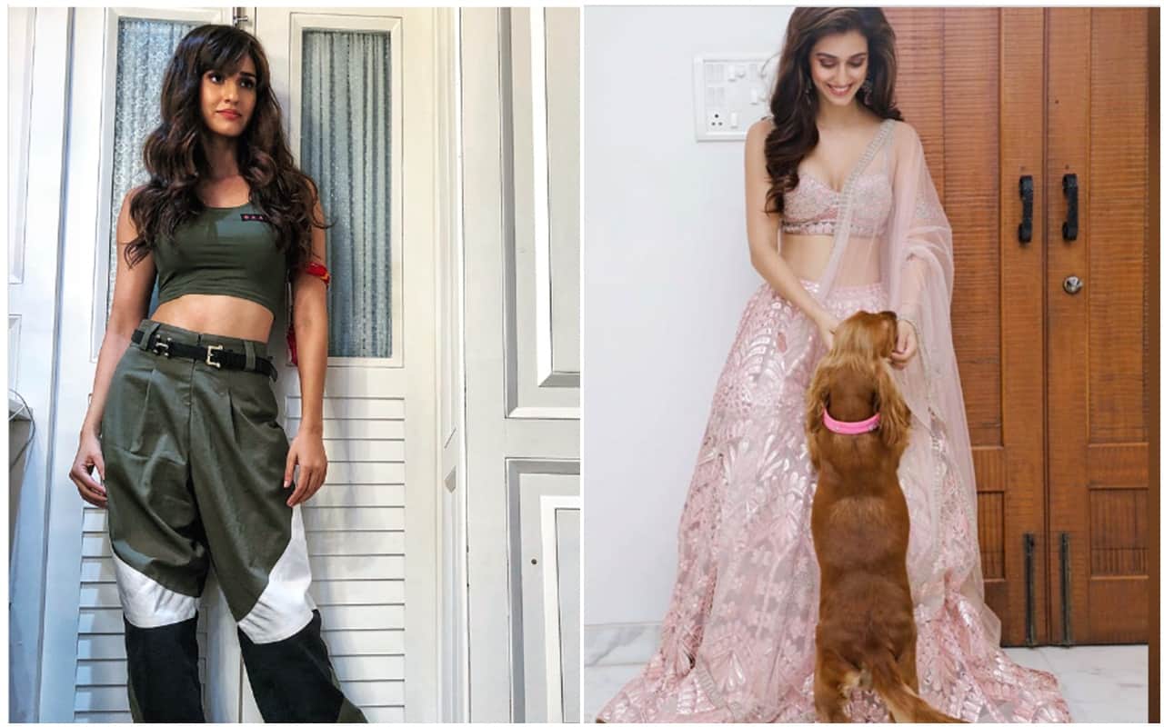 Disha Patani Birthday Special: Take A inside Look Of Disha Patani Mumbai home