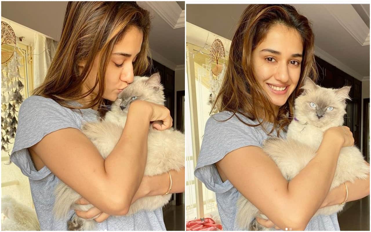 Disha Patani Birthday Special: Take A inside Look Of Disha Patani Mumbai home