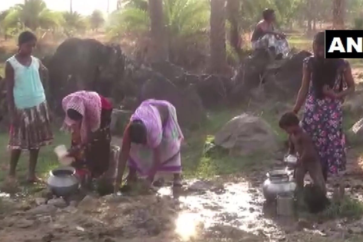 water scarcity forces Pakhnachua villagers to consume contaminated water Collector says trying to resolve problem