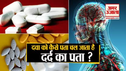 how a medicine works on a body