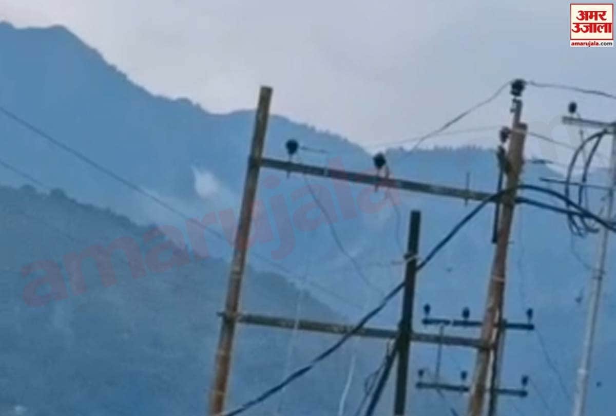 Pakistan wants to infiltrate terrorists amid tension over LAC with China